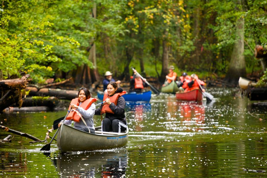 Kayaking and Canoeing in Suriname